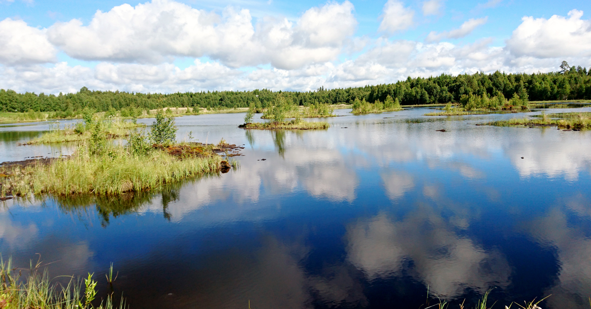 Nygårdsmyren efter avslutad torvtäktverksamhet och efterbehandling. Foto: Mats Henriksson, Neova