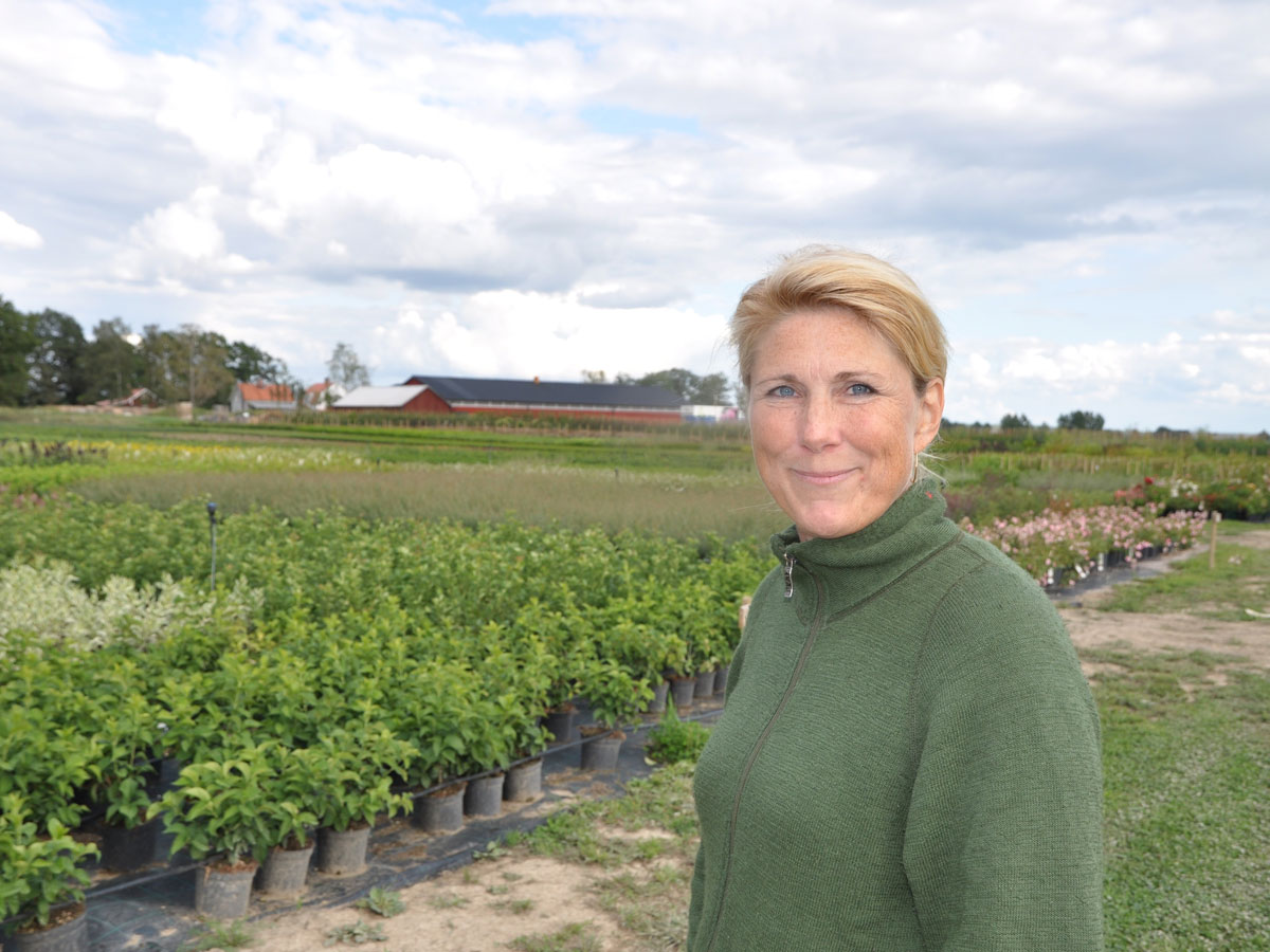 Miriam Dovrén, VD och ägare, Nya Eriksbo Plantskola