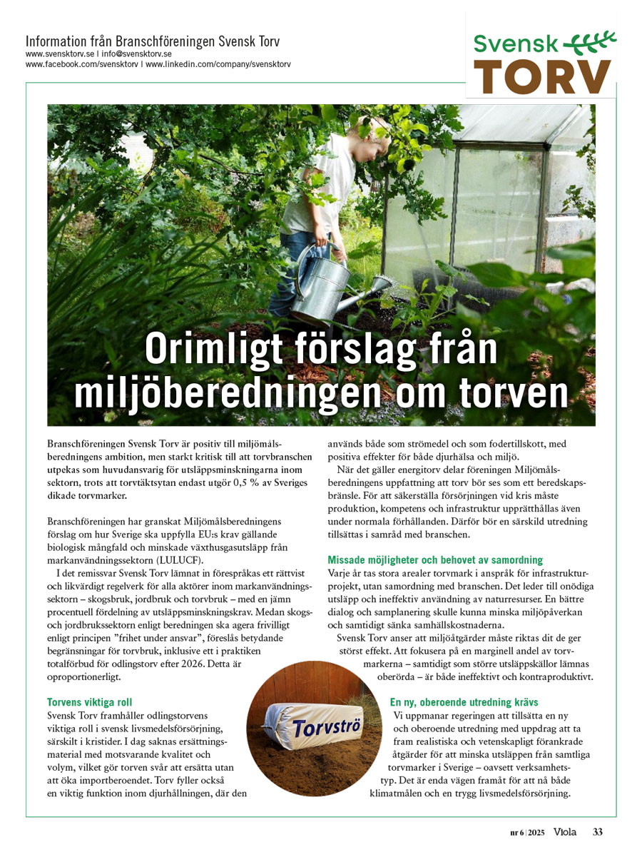Svensk Torv i tidningen Viola