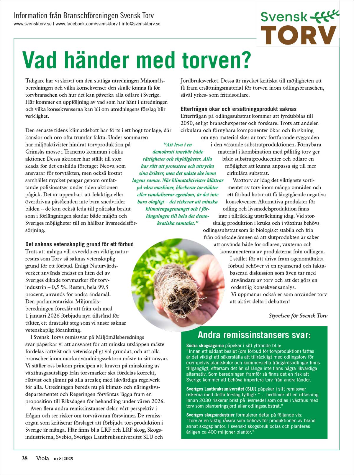 Tidningen Viola nr 8, 2025