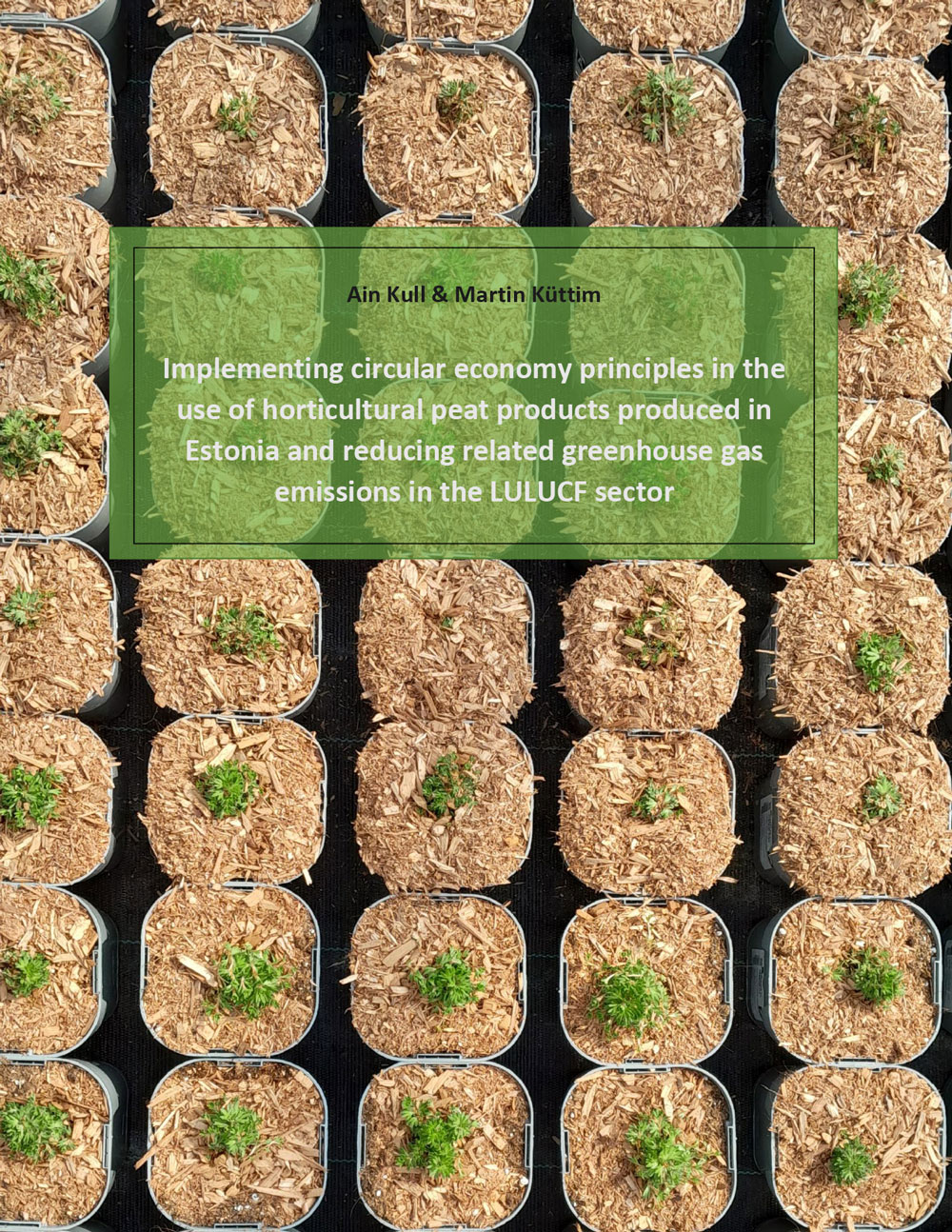 En färsk estnisk forskningsrapport* ger en mer nyanserad bild av växttorvens klimatpåverkan.