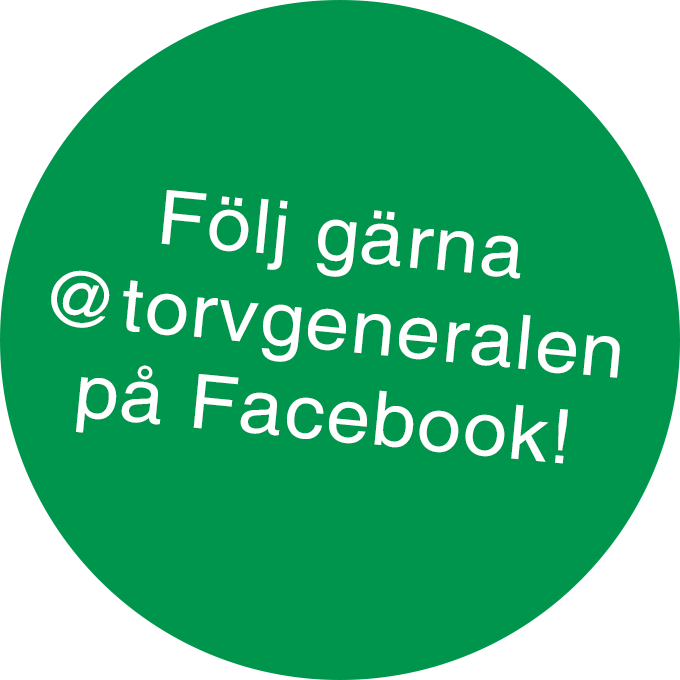 torvgeneralen