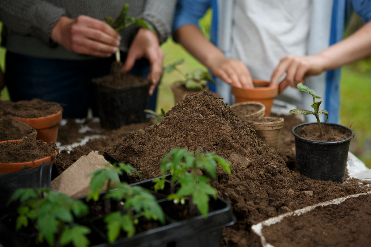 Foto: Hasselfors Garden