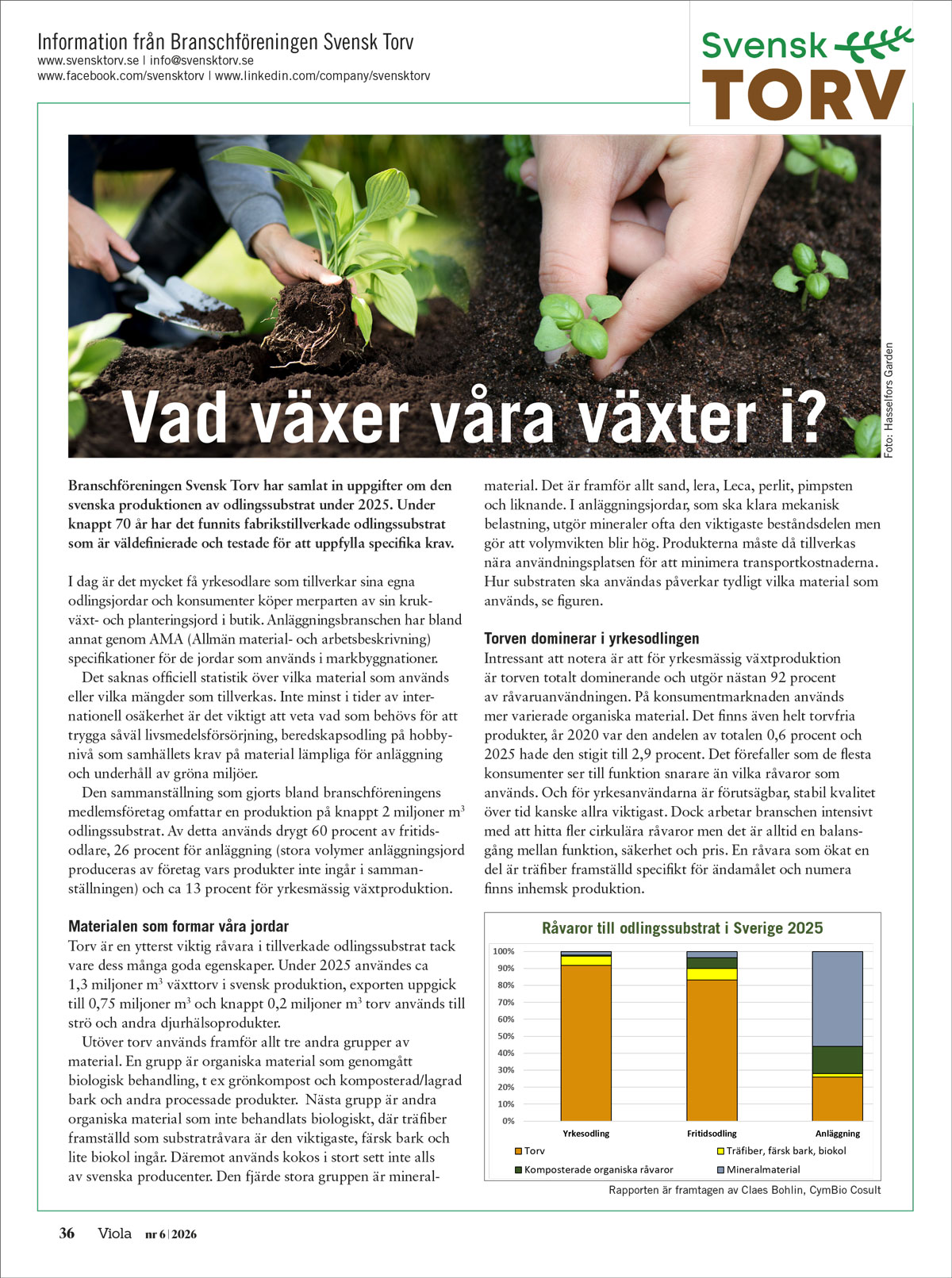 Svensk Torv i Tidningen viola nr 6/2026