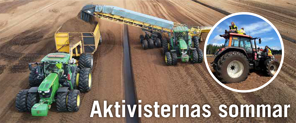 Svensk Torv i Viola september 2026